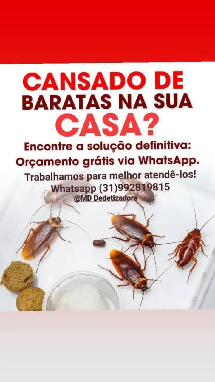 Dedetização e desratização, com o  melhor preço e qualidade!