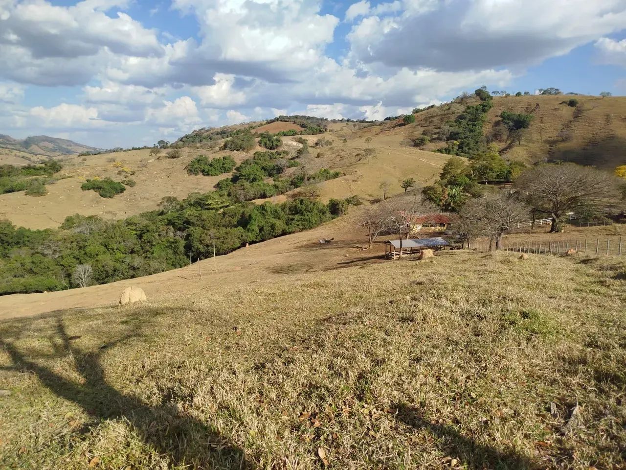 Fazenda em Oliveira /MG 65 hectares café E PLANTAÇOES DIVERSAS,, PODENDO USAR AGUA POR GRA - Foto 7