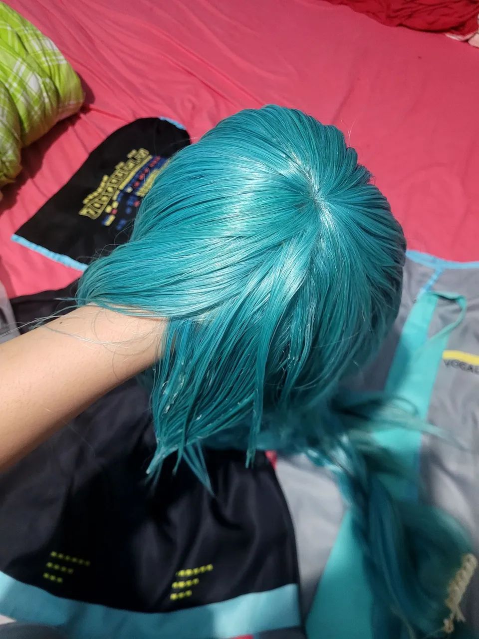 Hatsune Miku - Foto 3
