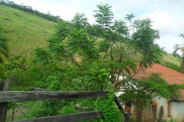 Fazenda 35 alqueires em colatina - Foto 18