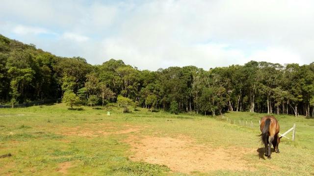Troco por Casa na Praia - Foto 4