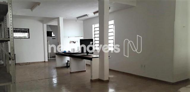 Loja comercial para alugar em Olhos d-água, Feira de santana cod:733515