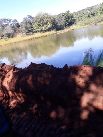 Fazenda 80 Alqueires município campina verde - Foto 11