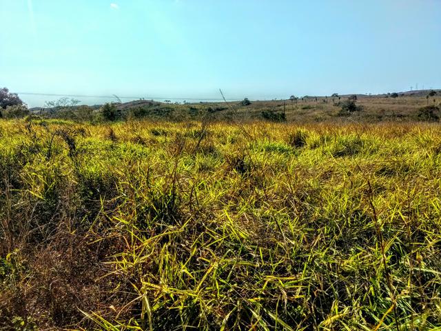 Fazenda 150 ha - Foto 2
