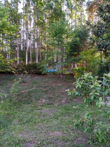 Granja em Humaitá - Foto 3