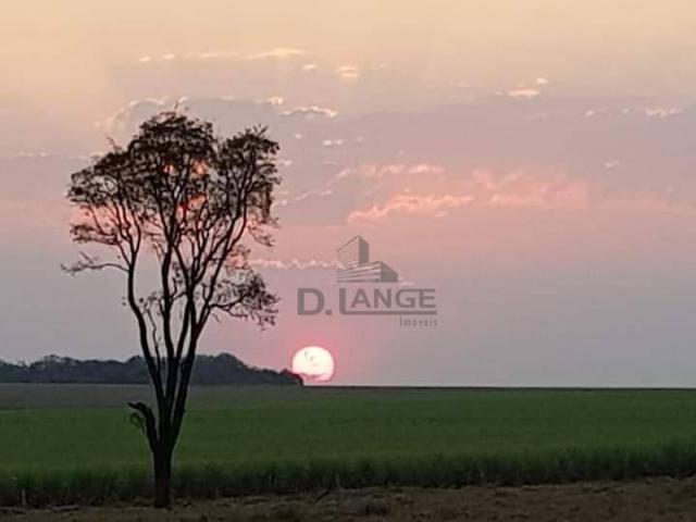 Granja em arealva s/p