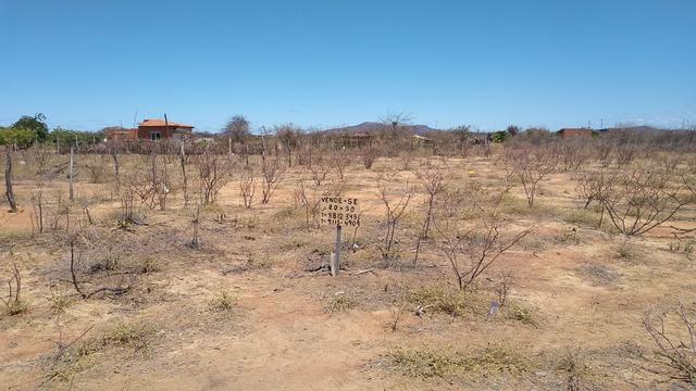 Lote