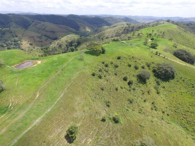 Fazenda 400 Hectares - 5 Nascentes no Município de Colonia - Foto 18