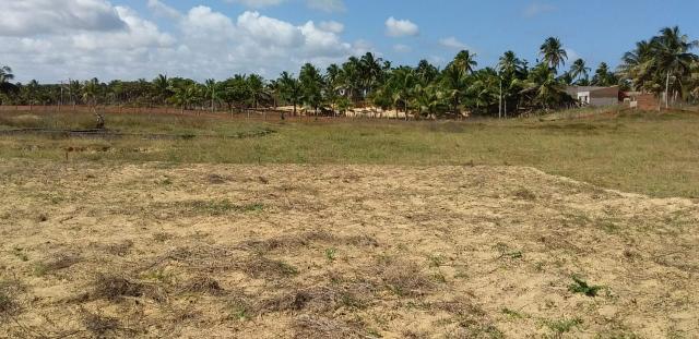 Terreno em praia feliz Deserto - Foto 7