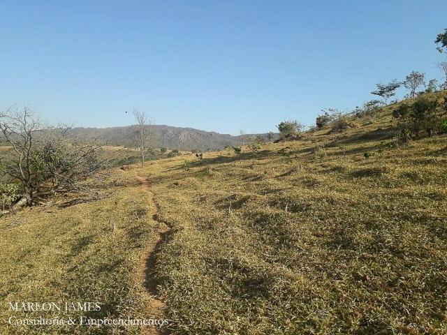 Fazenda Cultura entre Goiás e Mossamedes! - Foto 13