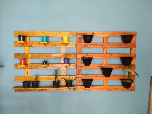 Horta de Pallet - Foto 3