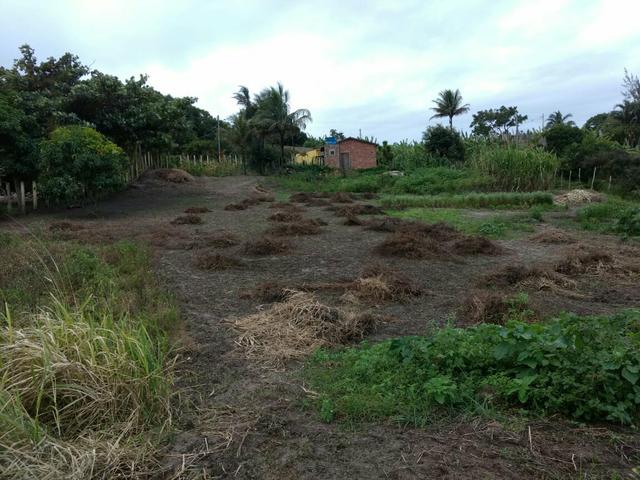 Terreno no Muricy - Foto 14