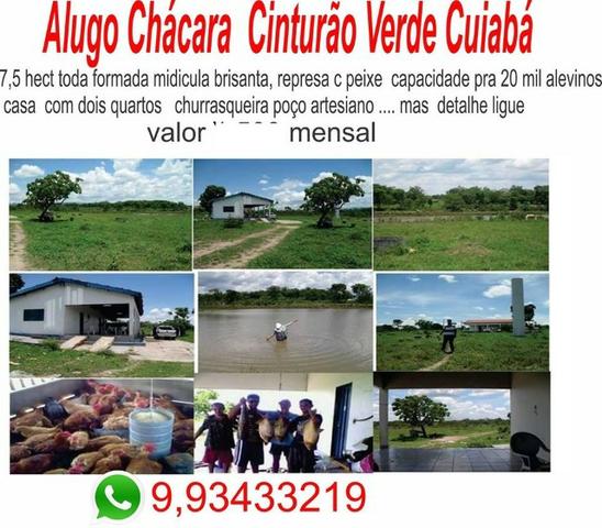 Alugo Chácara em Cuiabá , moradia ou investimentos preço bom - Foto 7