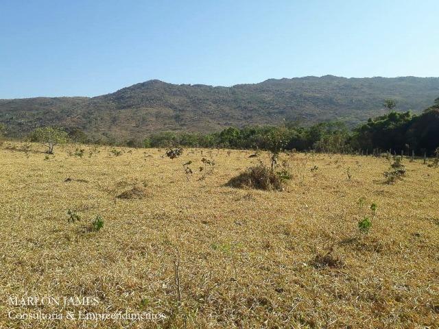 Fazenda Cultura entre Goiás e Mossamedes! - Foto 18