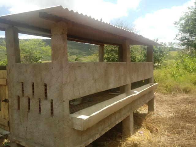 Sítio - Foto 16