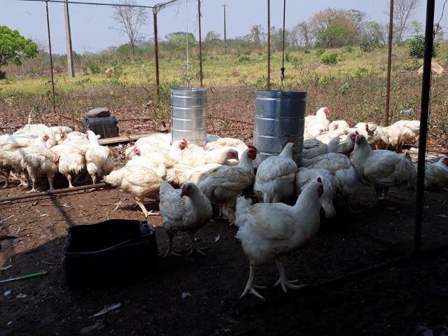 Alugo Chácara em Cuiabá , moradia ou investimentos preço bom - Foto 8