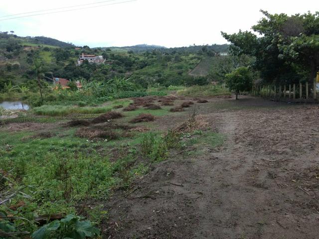 Terreno no Muricy - Foto 17