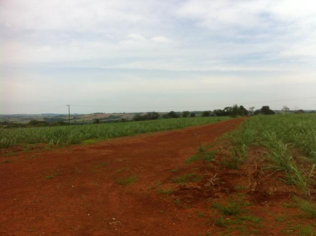 Itapetininga-Sp, Fazenda 90 Alqueires - Foto 5