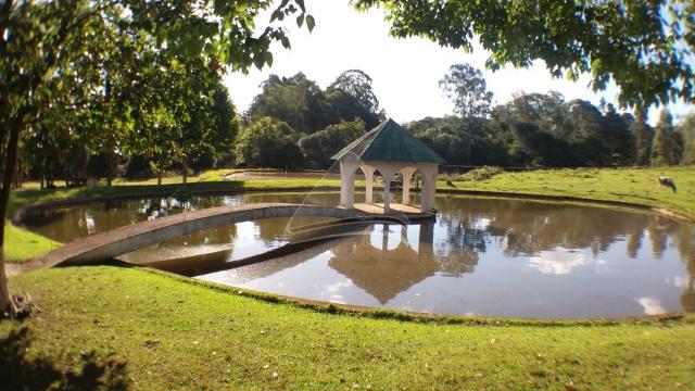 Chácara à venda em Sitio nono zonta, Passo fundo cod:8465 - Foto 20