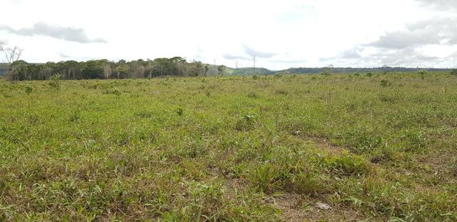 Fazenda 590,48 hectares no Leste de Minas na Região da sudene - Foto 14