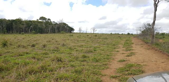 Fazenda 590,48 hectares no Leste de Minas na Região da sudene - Foto 7