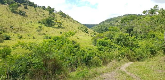 Fazenda 590,48 hectares no Leste de Minas na Região da sudene - Foto 12