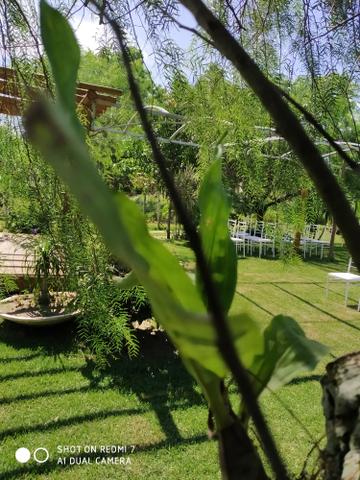 Cerimonial Garden Goddio - Foto 15