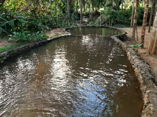 Alugamos Sítio com Cachoeira - Santa Leopoldina - Foto 8