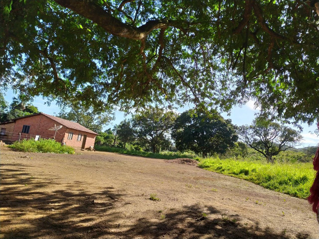 FAZENDA MUNICIPIO PINDORAMA 53 ALQUEIRES OBS. VALOR DO ALQUEIRES. - Foto 17