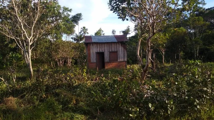 foto - Itacoatiara - Colônia