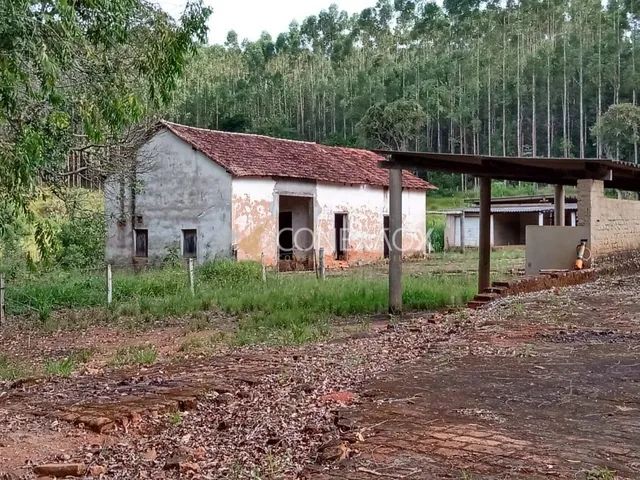fazenda - Jacutinga - Jacutinga - Foto 3
