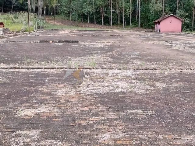 fazenda - Jacutinga - Jacutinga
