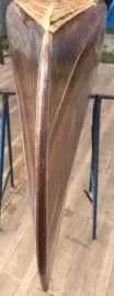 CANOA CANADENSE - Foto 5