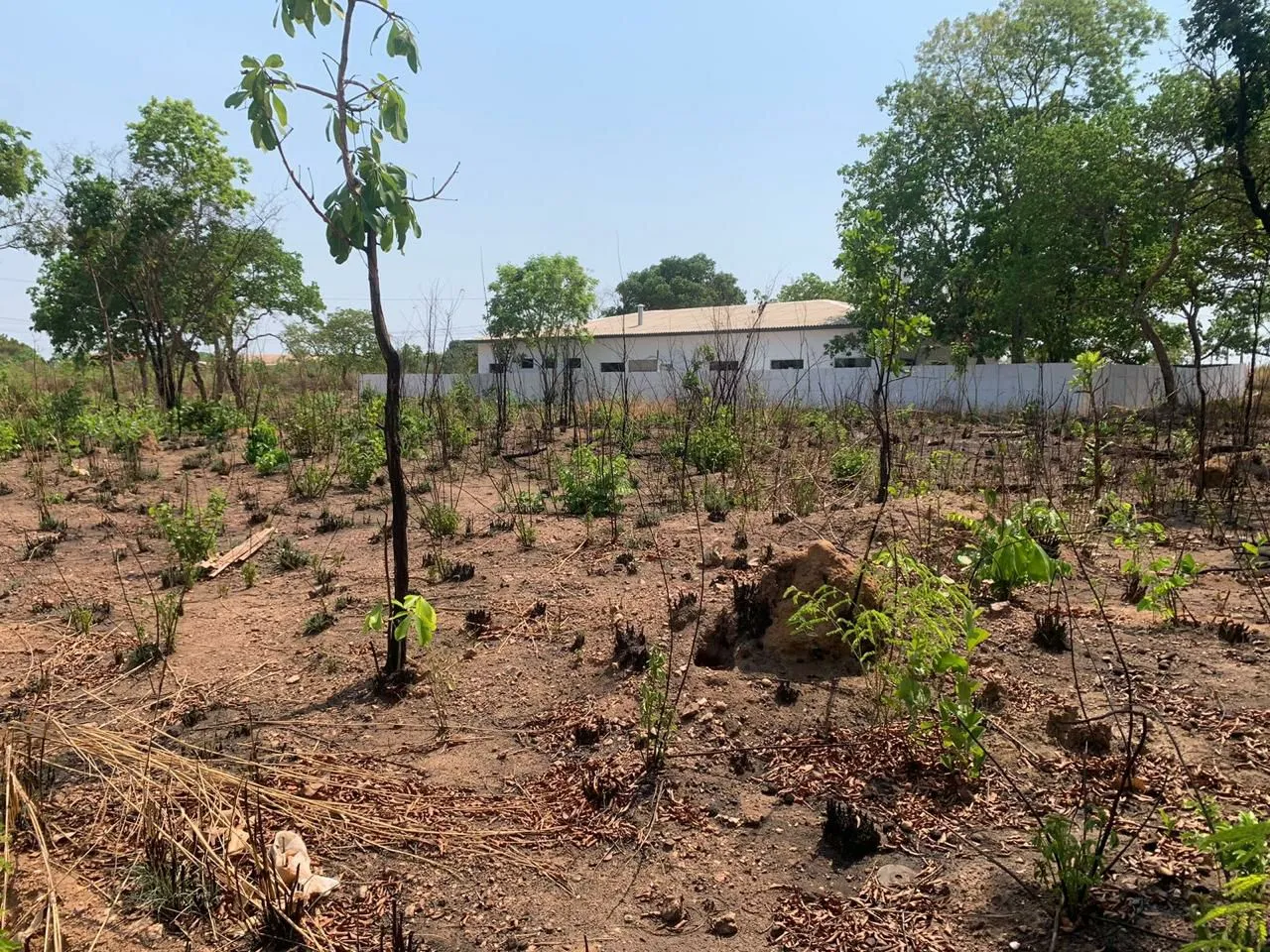 Terreno Jardim Novo Mundo Várzea Grande