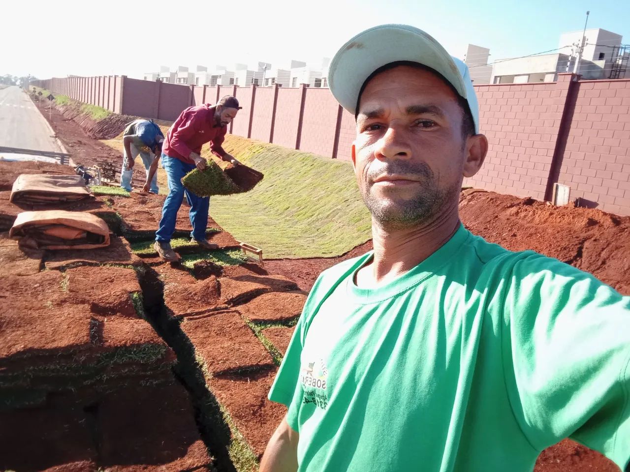 Gramas fértil  - Foto 5