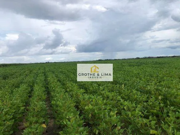 Fazenda com 11.000 hectares à venda na região do município de São José dos Peixes -PI.