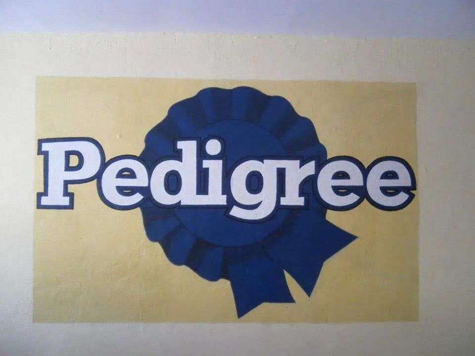 Pintor letrista e desenhos - Foto 2