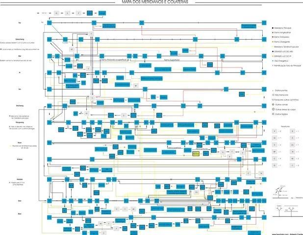 Mapa Acupuntura - Todos os meridianos, Eixos, Ramificações e Ramos