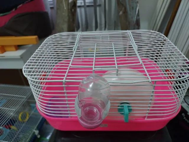Gaiola transporte para hamister