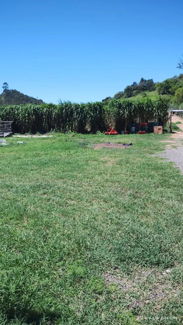 Terreno  - Foto 3