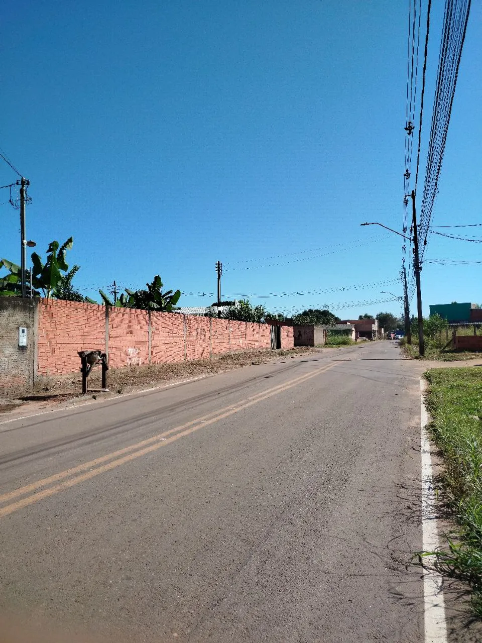 Vende-se terreno!!