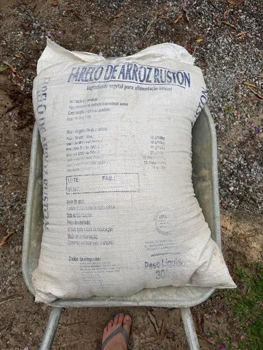 Arroz inteiro 50kg - Foto 3