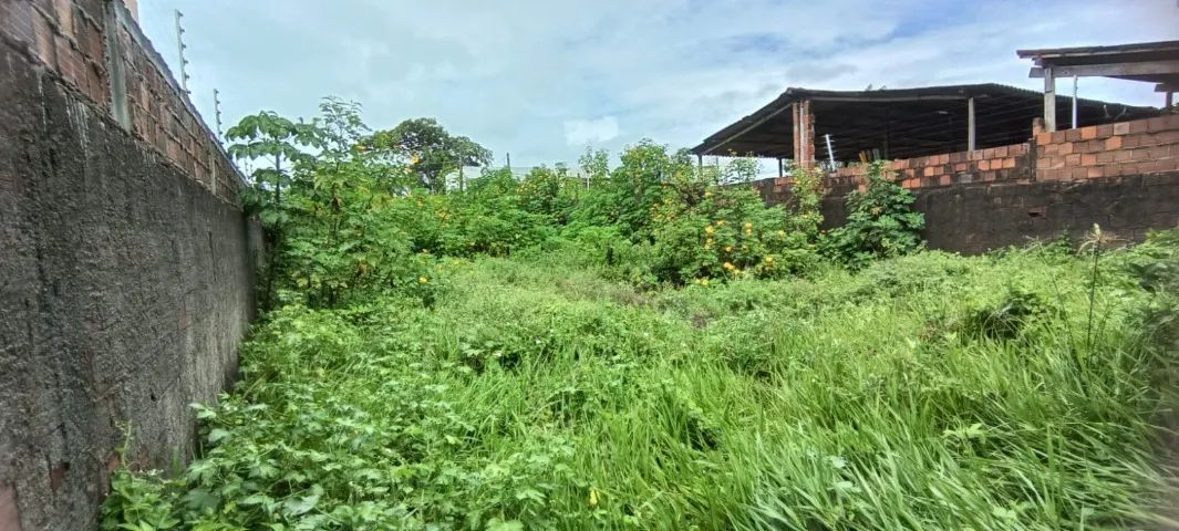 LIMPEZA E MANUTENÇÃO DE TERRENOS - Foto 3