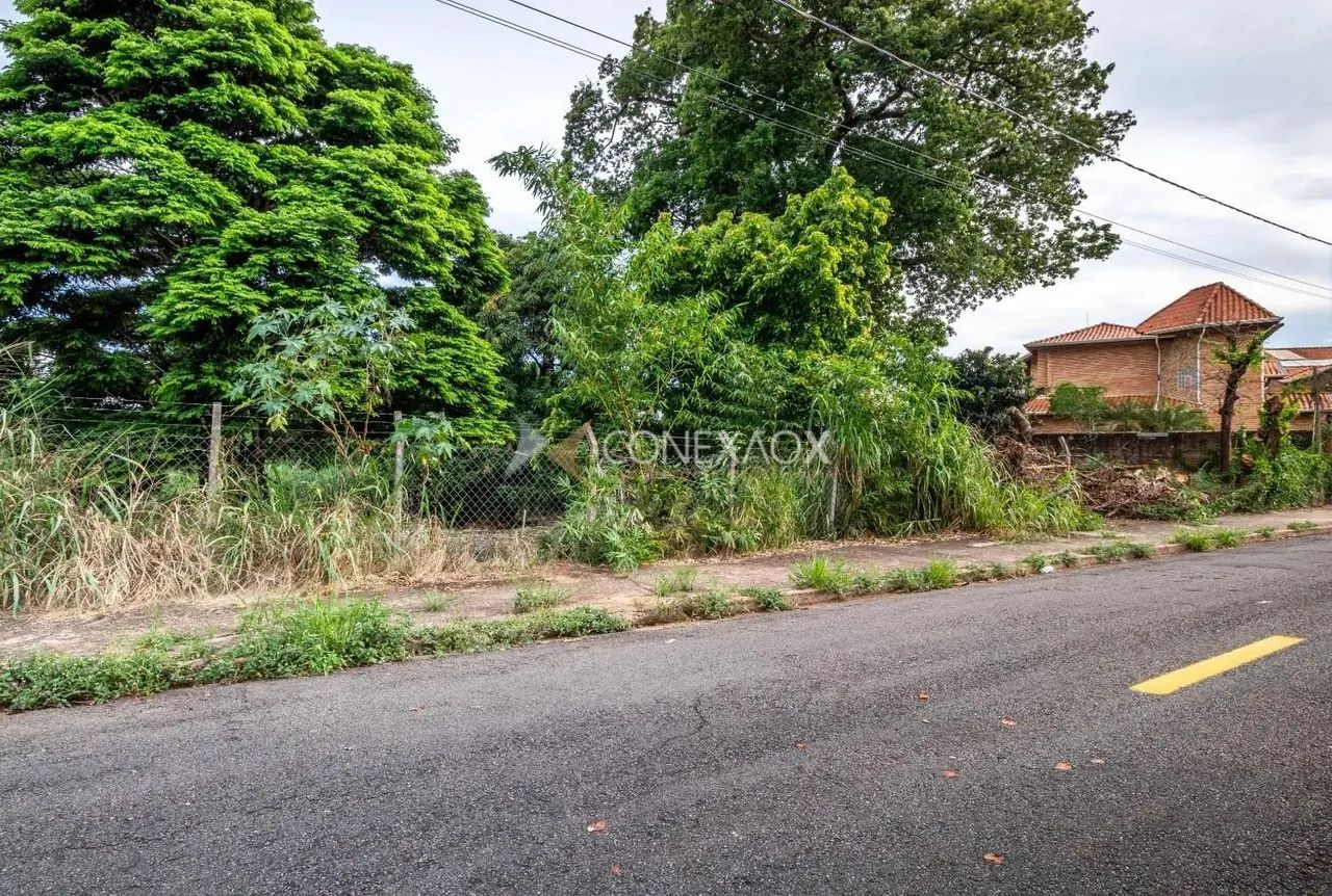 área - Parque Taquaral - Campinas