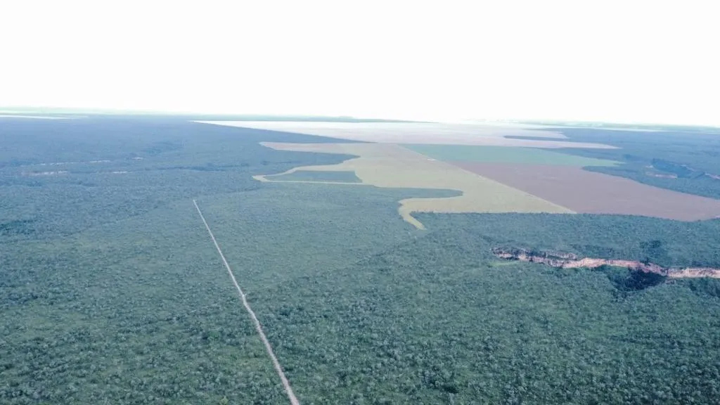Fazenda a venda para soja em Baixa Grande do Ribeiro, 2.168 hectares com 1.000 ha já desm