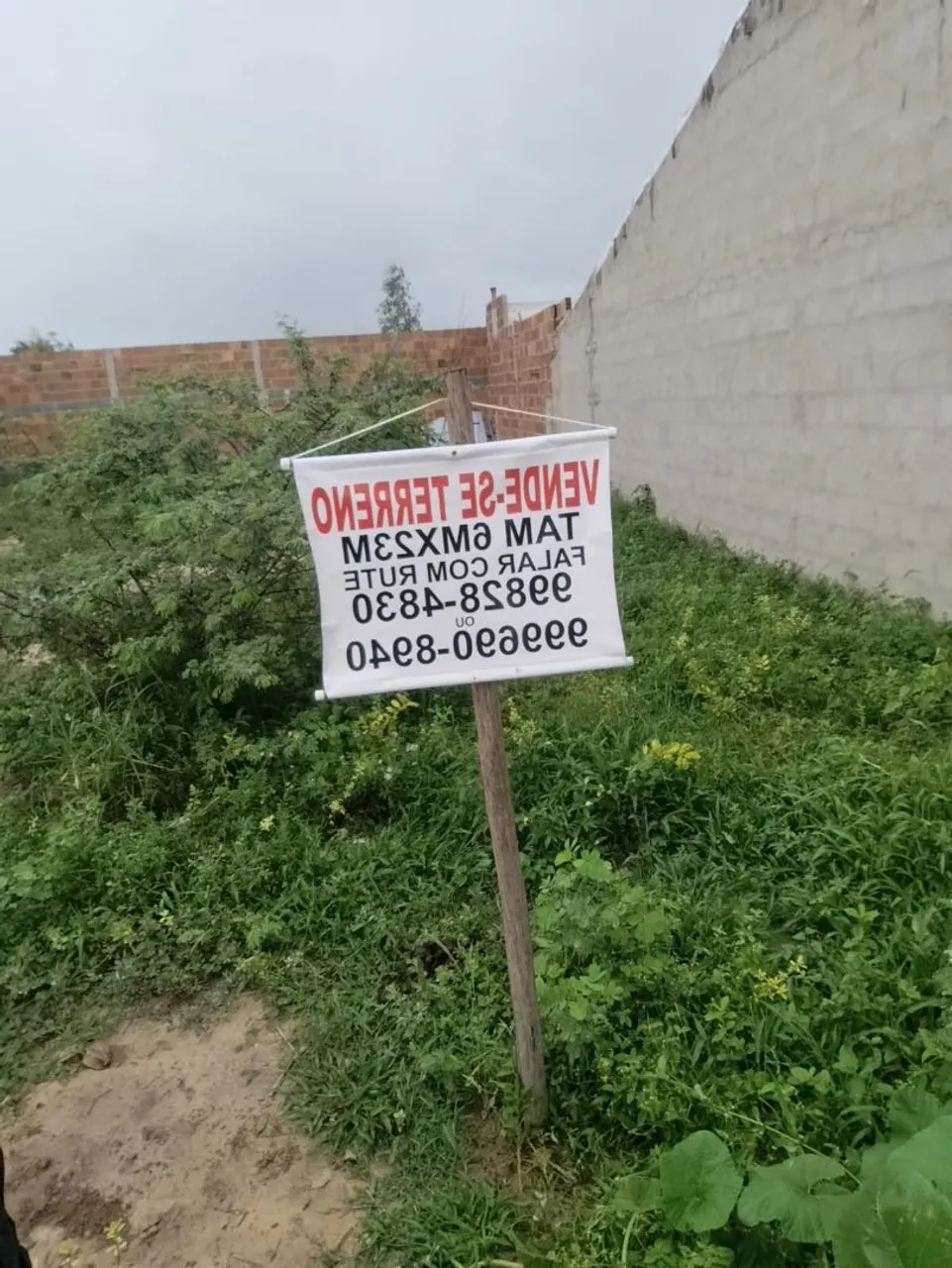 Vendo terreno em rua pavimentada lugar tranquilo na rua Travessa Regina terreno