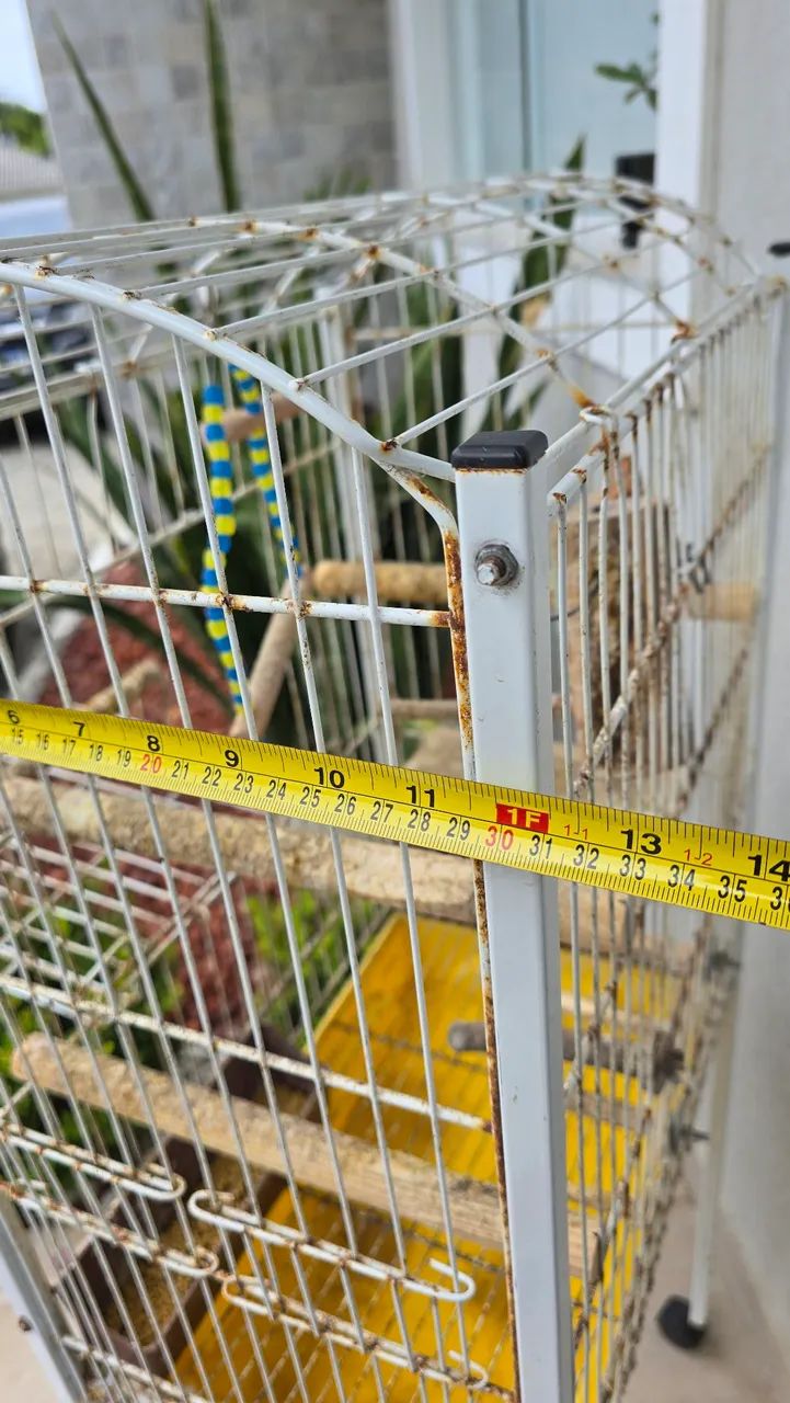 OPORTUNIDADE! Gaiola Viveiro Quatiguá  - Foto 5