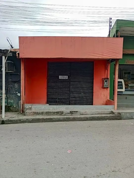 foto - Manaus - Monte das Oliveiras