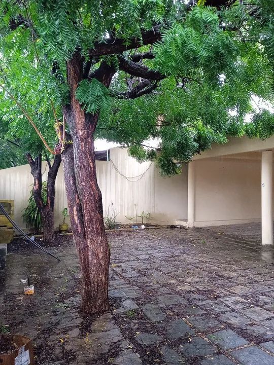 Casa Comercial com Grande Potencial para Negócios com Localização Estratégica em Messejana - Foto 4