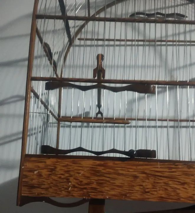 Gaiola luxo . Trocas em gaiola de ring - Foto 4